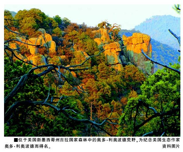 马海良:生态诗学的基本主张