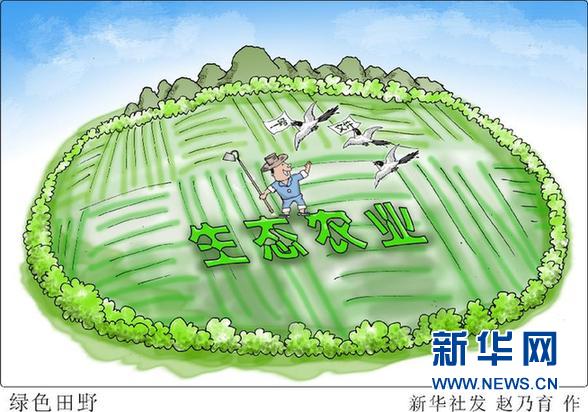 （图表·漫画）[今日关注·中央一号文件]绿色田野