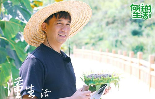《向往的生活》寄托着“诗与远方”的念想 《向往的生活》寄托着“诗与远方”的念想