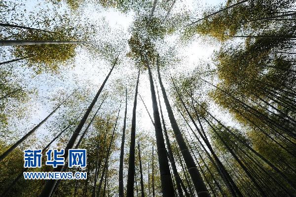 (图文互动)(6)十年接力绘美丽浙江 生态红利惠千万群众——“绿水青山就是金山银山”在浙江的探索和实践
